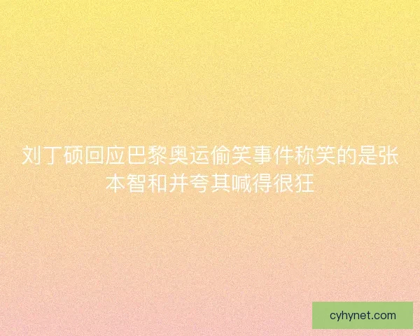 刘丁硕回应巴黎奥运偷笑事件称笑的是张本智和并夸其喊得很狂 刘丁硕回应巴黎奥运偷笑事件称笑的是张本智和并夸其喊得很狂